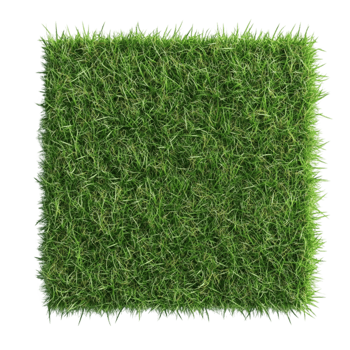 Artificial Green Grass AI-Generative png
