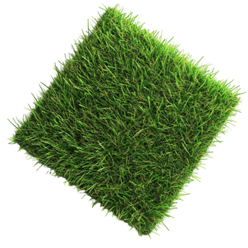 Lawn Artificial Turf Grass AI-Generative png
