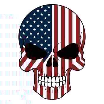 American Flag Skull Illustration vector