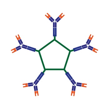 Pentamer immunoglobulin IgM symbol Antibody icon vector