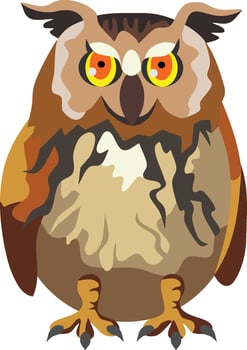 Baby Owl Cartoon Animal vector