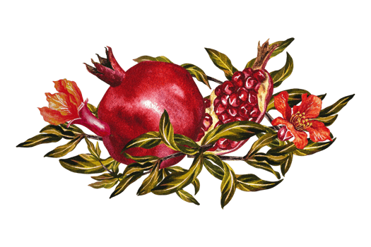 Pomegranate fruits and flowers on a branch. Pomegranate in the section. A watercolor illustration made by hand. For labels, packages. For postcards, flyers and for decorating kitchen utensils png