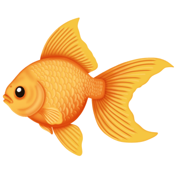 Design goldfish cartoon png