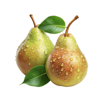 Fresh Pears with green leaves With Dew Drops png