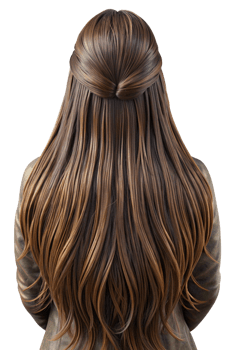 Woman with Long Hair in a Dress from Behind 3d Render png