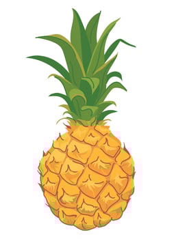 Small pineapple common in Mauritius. Mini fruit in flat style. ripe juicy pineapple on white background. vector