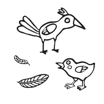 A charming black and white illustration featuring two cartoon birds along with a few feathers. for children's books, educational content, or coloring activities. The larger bird stands tall. vector