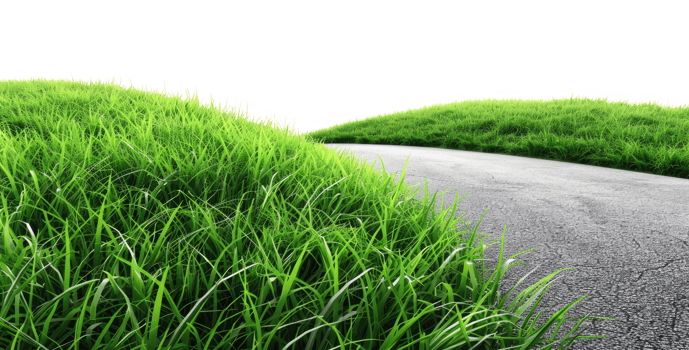 Grassy Hillside, Cut Out png