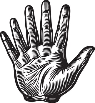 Black silhouettes of Hand isolated on a white background. vector