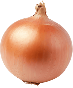 Onion Vegetable isolate, Allium cepa Clipart, Fresh Brown onion illustration png