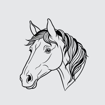 a horse head in a line drawing design 504 vector