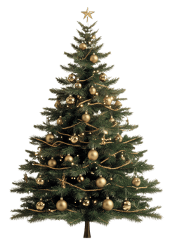 Golden-decorated Christmas tree, cut out - stock . png