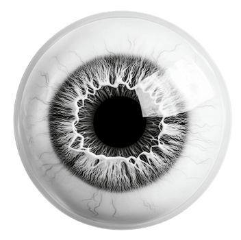 Detailed close-up of a human eye structure, cut out - stock . png