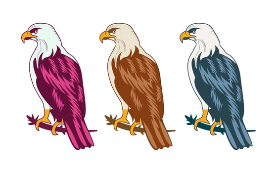 Colorful Eagle set or collection Illustration. Colorful Eagle vector