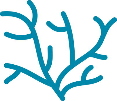 coral sea doodle icon png