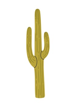 Desert green cactus. Hand drawn illustration isolated on white background. vector