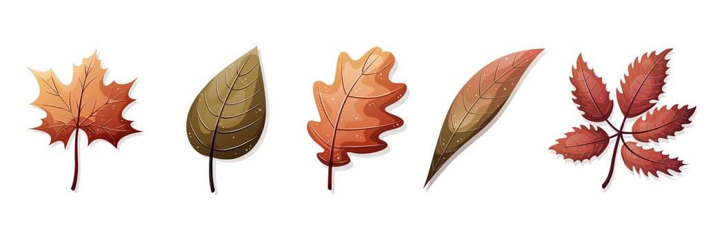 Autumn leaves collection. Set of seasonal illustrations. Icon design. vector