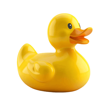 Rubber Duck on Transparent Background. png