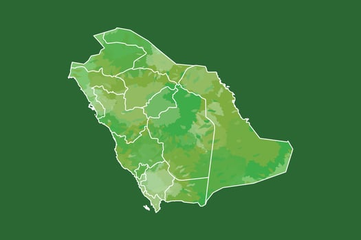 Saudi Arabia watercolor map of green color with border lines of different regions vector