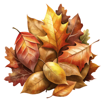 Rustic Autumn Leaf Bed png