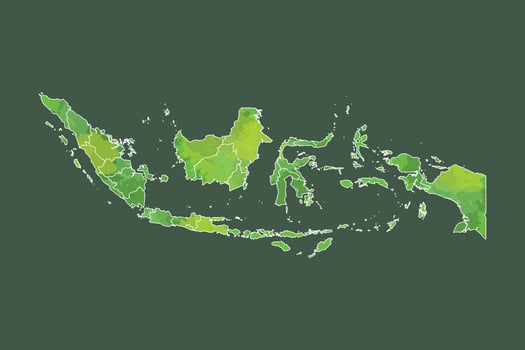 Indonesia watercolor map of green color with border lines of different provinces or divisions on dark background using paint brush vector