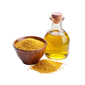 Mustard seeds and Mustard oil png