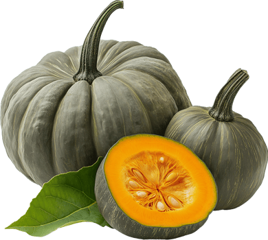 Bright Orange Pumpkin Isolated png