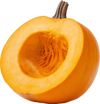 Autumn Pumpkin Isolated on Clean White Surface png