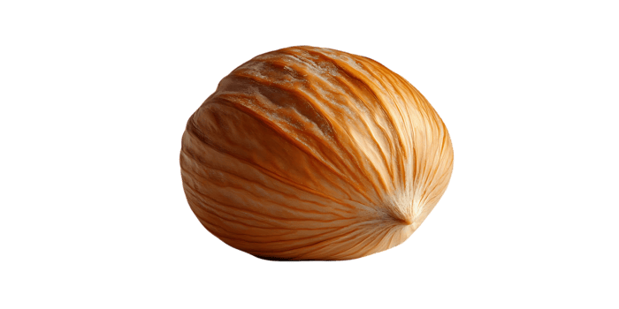 A Single Hazelnut Shell Isolated on a Transparent Background, Displaying its Intricate Texture and Warm Brown Hues png