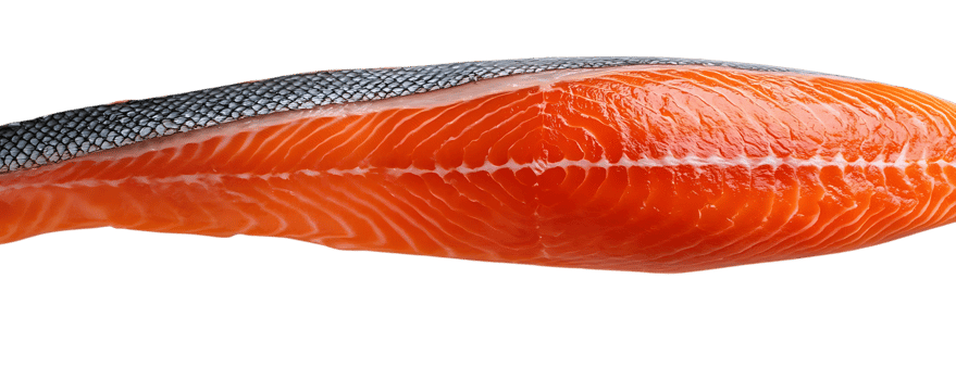 Fresh Salmon Fillet with Transparent Background, Ready for Your Culinary Creations png