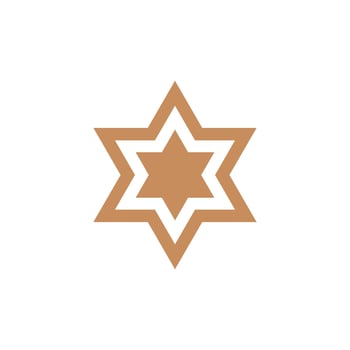 star of David icon flat design vector