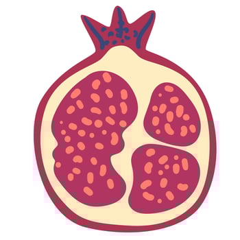 Pomegranate half doodle illustration isolated on white. vector