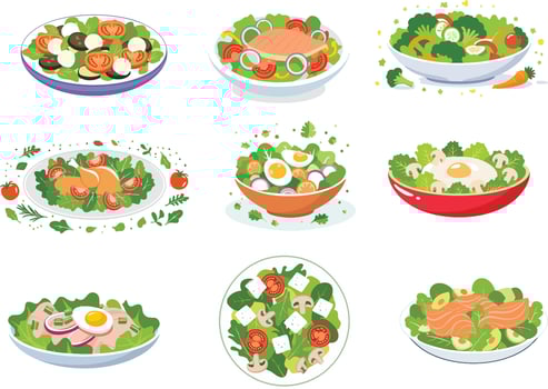 various healthy salad colorful illustration set vector