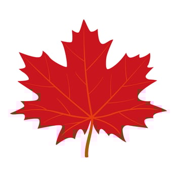 Red Autumn maple leaf. Hand drawn trendy flat style isolated. autumn leaf, golden season illustration vector