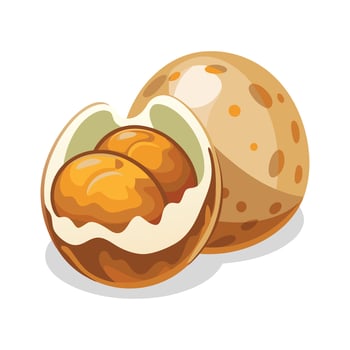 balut or boiled fertilized duck egg illustration vector