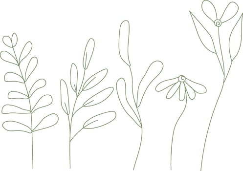 Set of minimalistic flowers, hand drawn, minimalistic elements for decoration vector