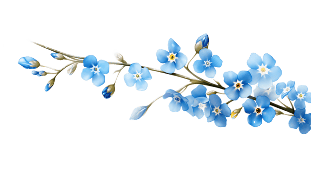 A blue forget-me-not with a tiny, delicate bloom on a transparent background png