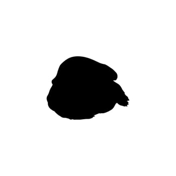 Silhouette of the The Humphead wrasse, Cheilinus undulatus, also known as the Maori wrasse, Napoleon wrasse, Napoleon fish. Flat Style, can use for Logo Gram, Animal Illustration, Pictogram. Editable vector