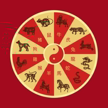 Chinese zodiac wheel. Twelve animals circle disk with Rat, Ox, Tiger, Rabbit, Dragon, Snake, Horse, Goat, Monkey, Rooster, Dog and Pig year animal sign around Yin yang symbol illustration vector
