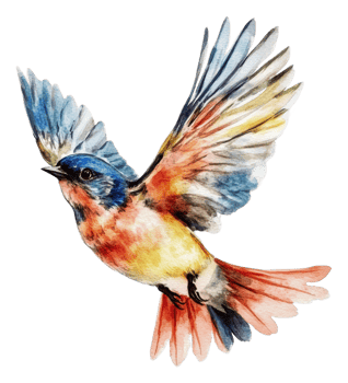 Colorful bluebird flying with outstretched wings, cut out - stock . png