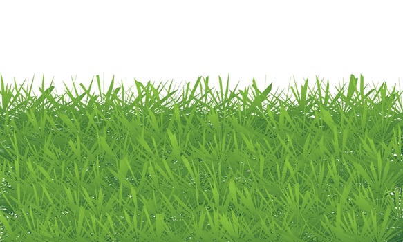 Green grass texture on white background illustration vector