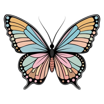 A color image of a butterfly. Butterfly in boho style vector