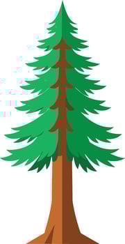 Professional Redwood Tree vector
