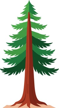 Tree - pseudotsuga taxifolia vector