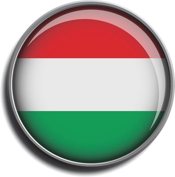 pattern icon button hungary vector