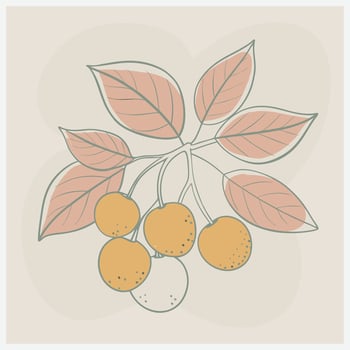 Vibrant Farkleberry Fruit Illustration vector
