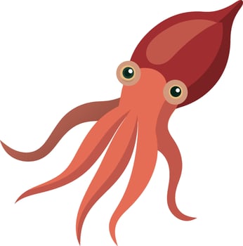 illustration sea animal cuttlefish flat art design vector