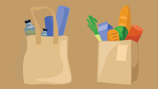 Shopping grocery bags with supermarket groecery items elements vector