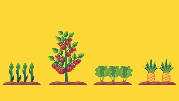 a variety of vegetables and fruits are growing in the ground vector