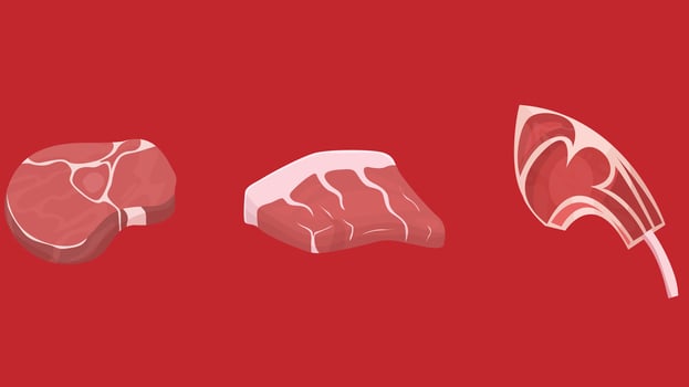 three different types of meat on a red background vector